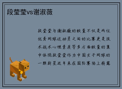 段莹莹vs谢淑薇