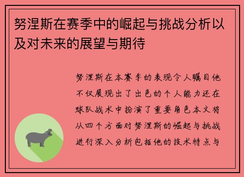 努涅斯在赛季中的崛起与挑战分析以及对未来的展望与期待